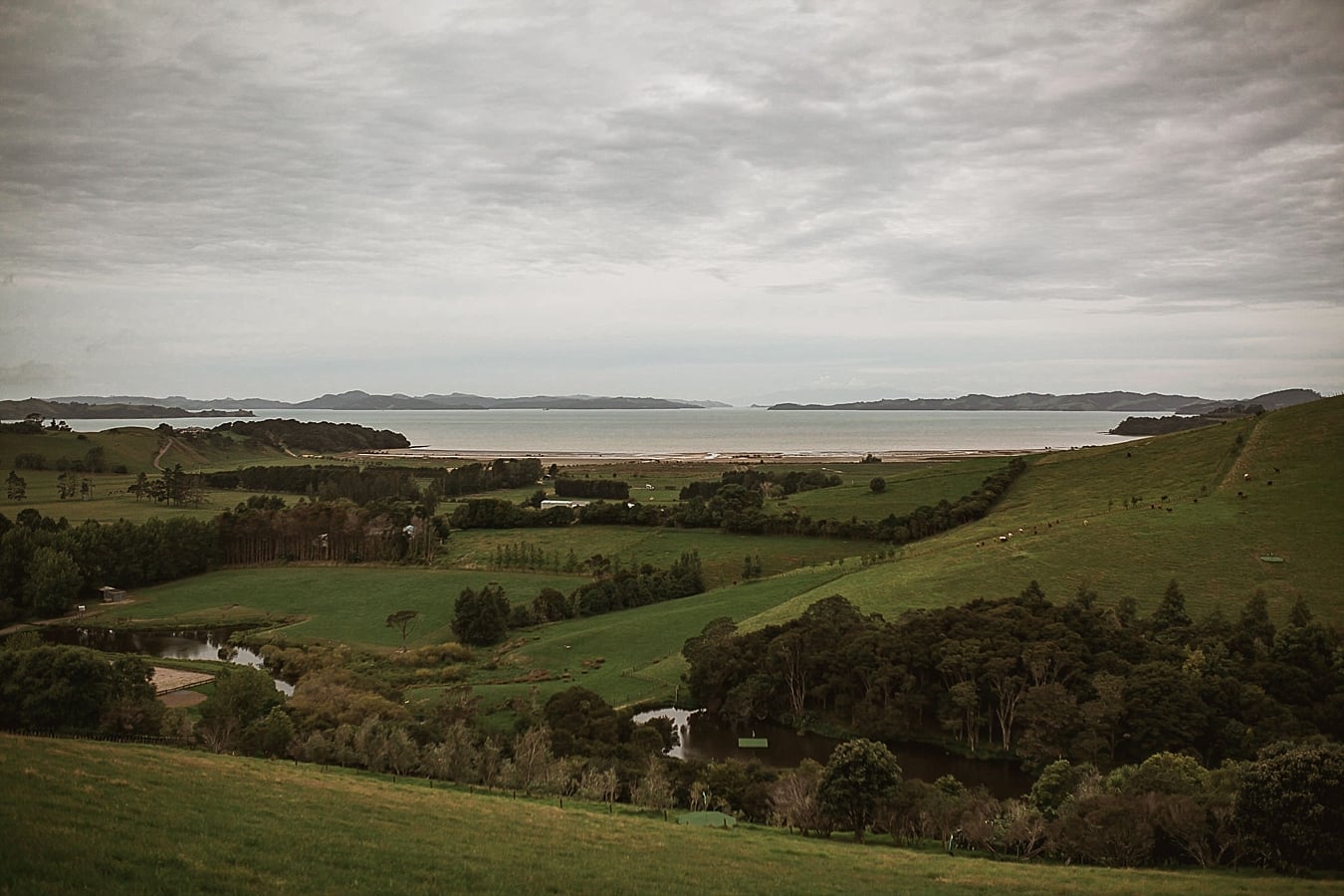 Boomrock Kauri Bay