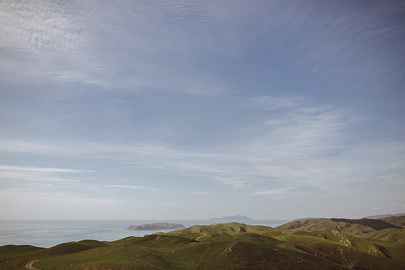 Wellington Wedding Photographer