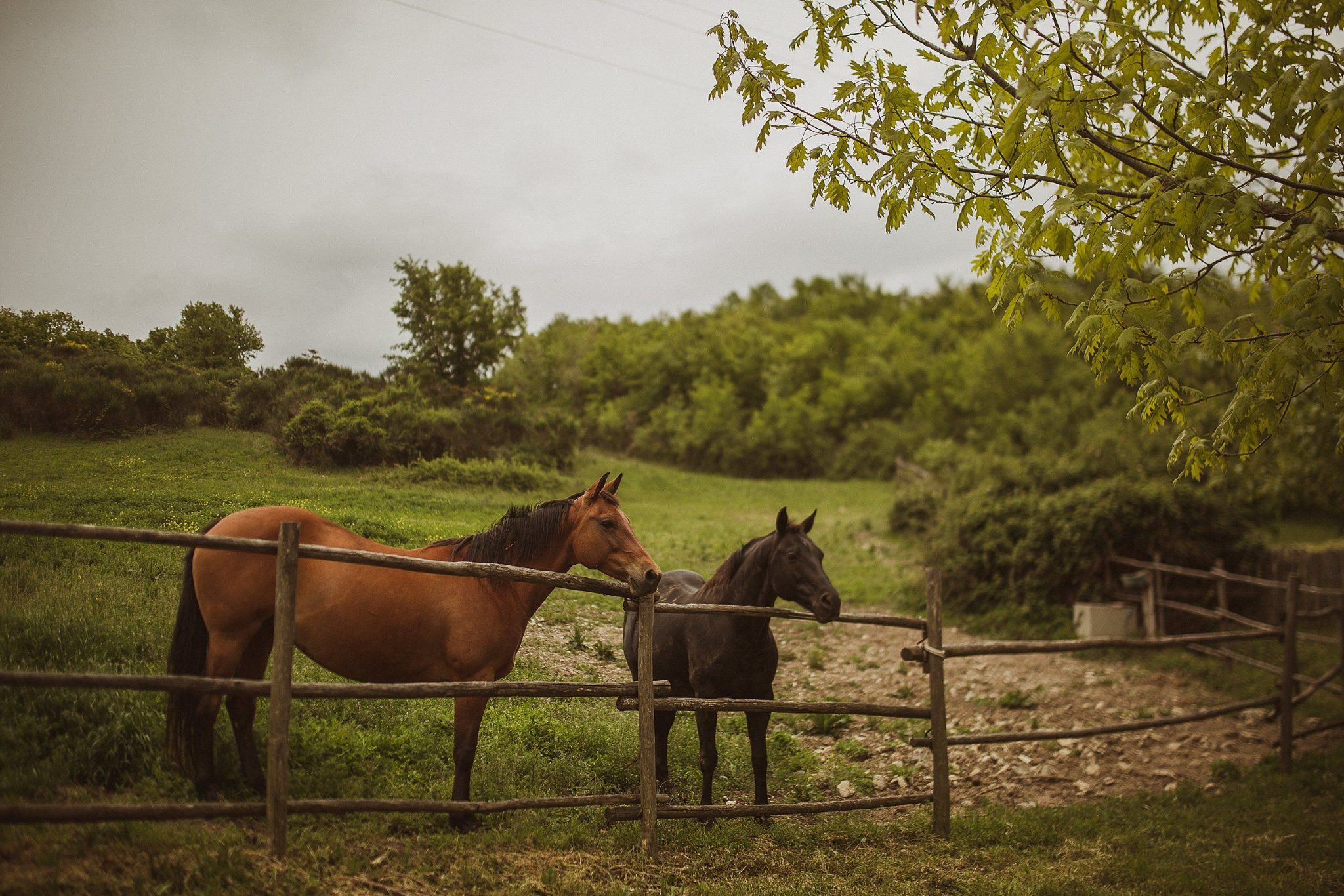 Wedding Photographer Tuscany