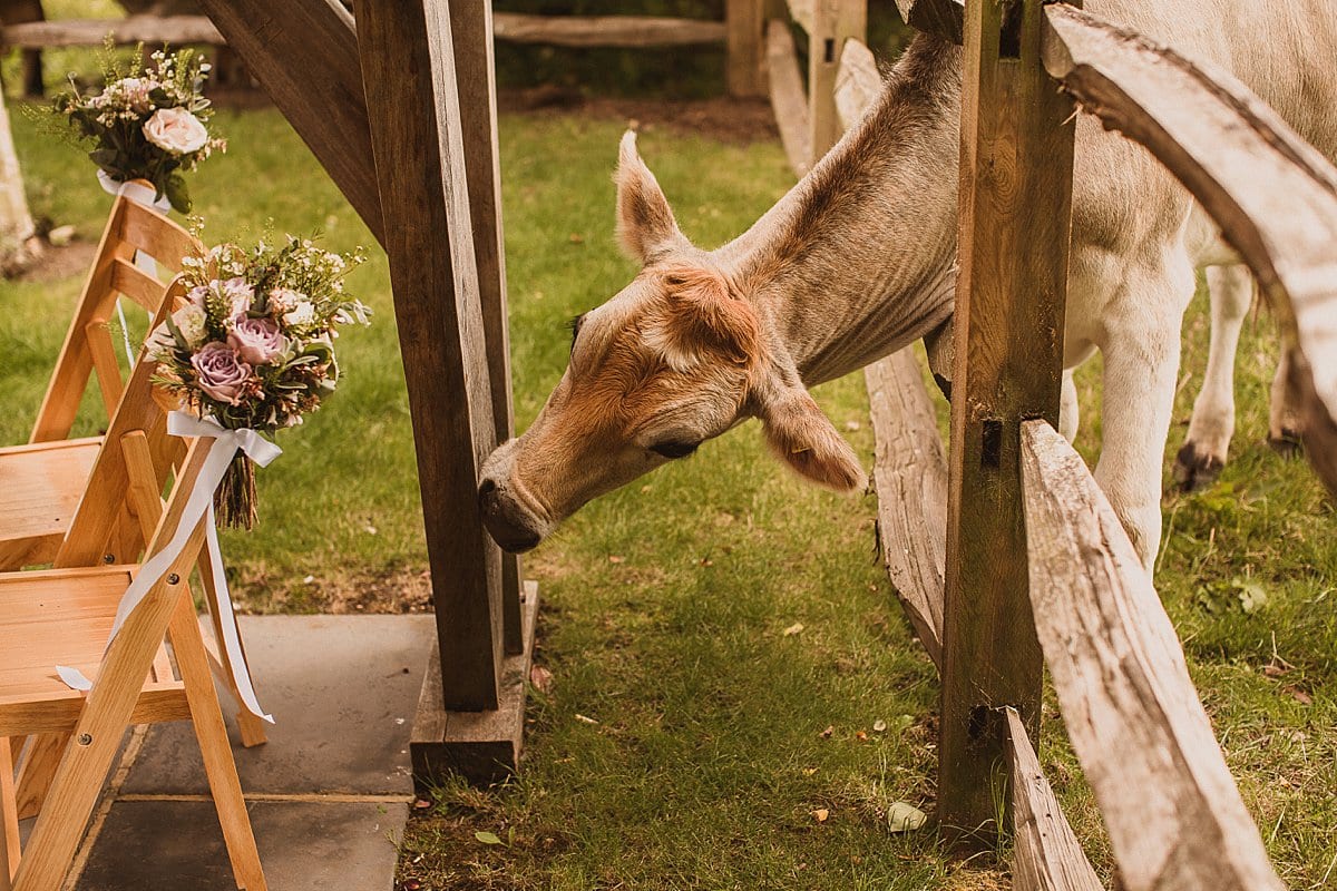 Claire + Peter Wedding