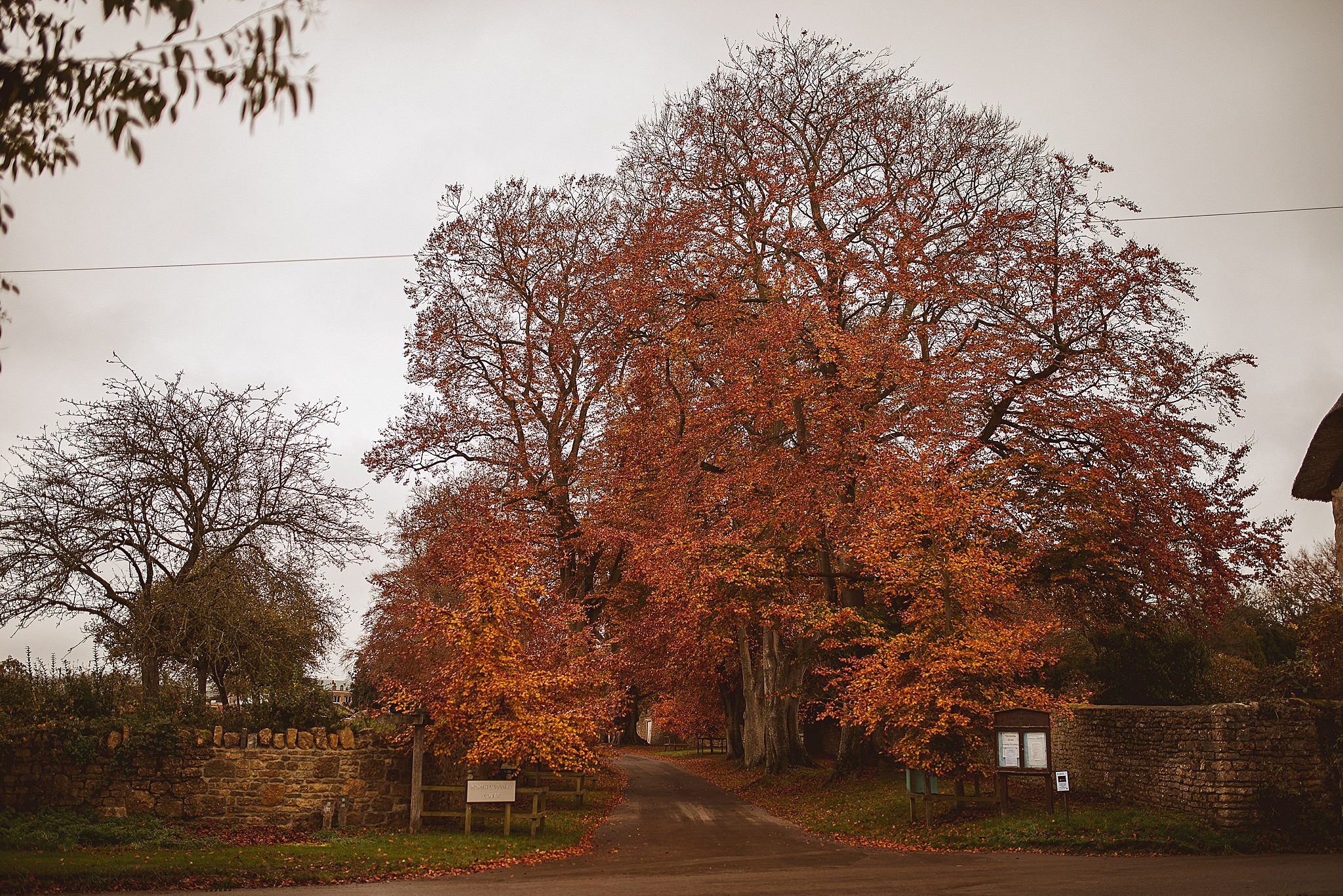 North Cadbury Court