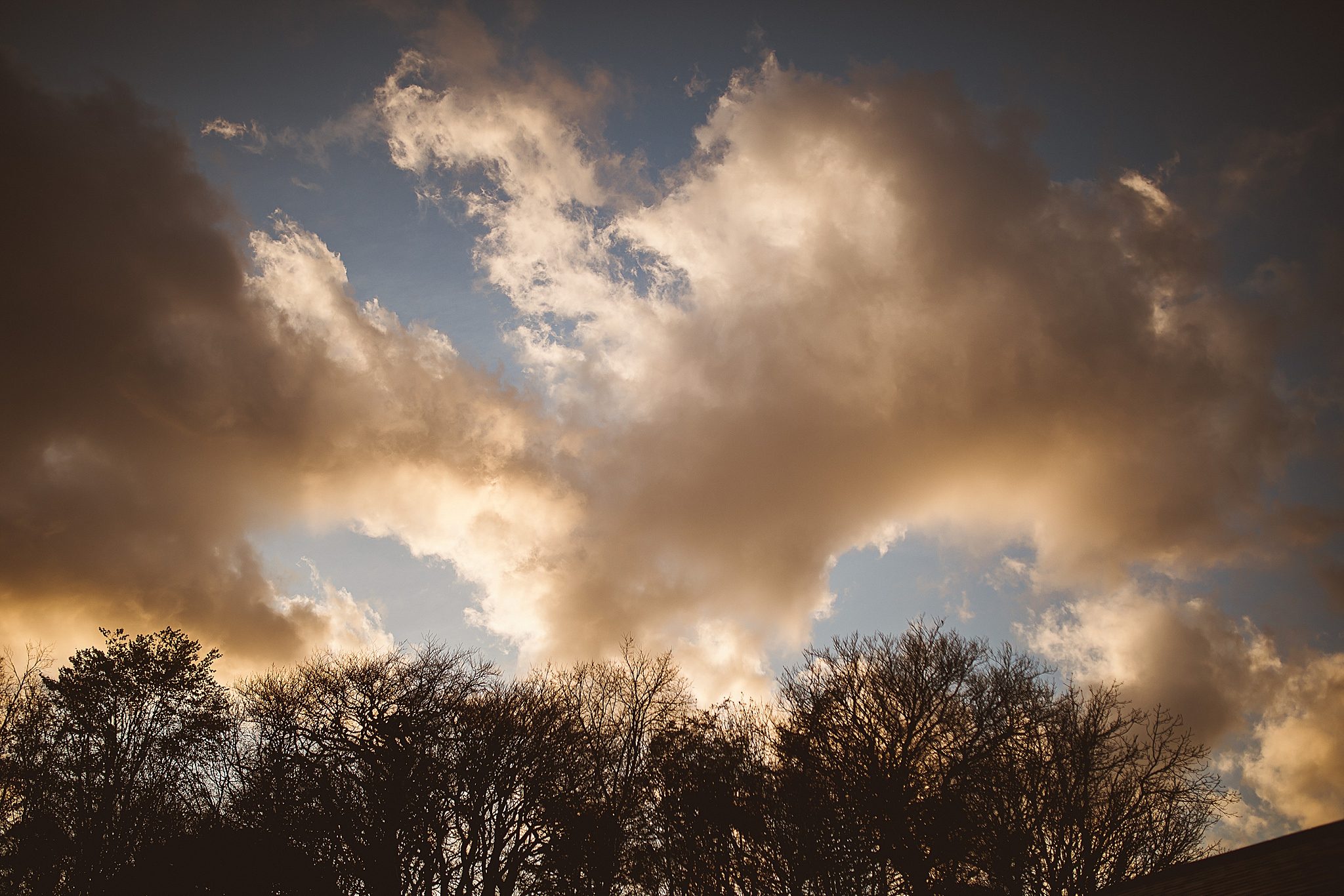 Tredudwell Manor Wedding