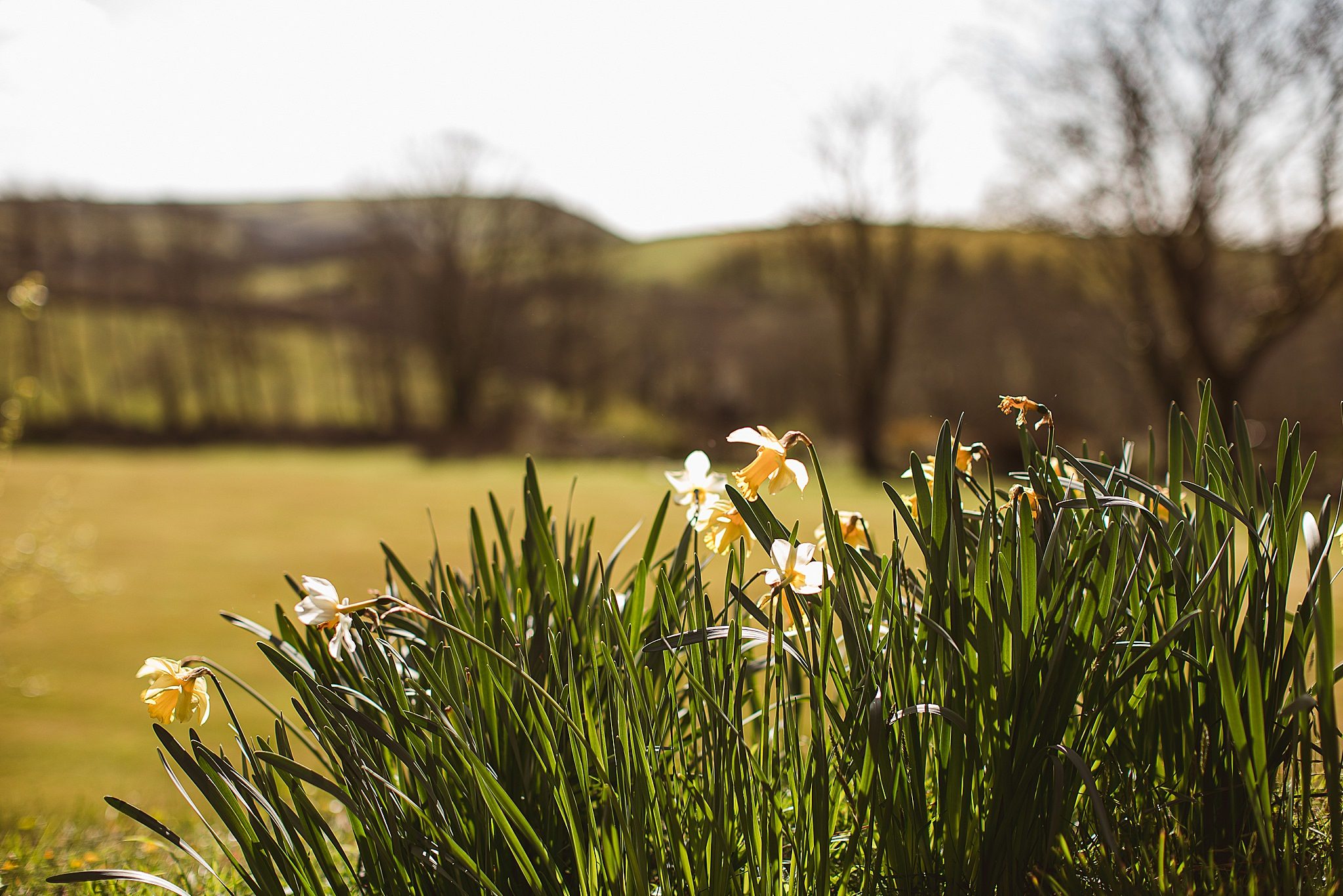 Spring Wedding Flowers