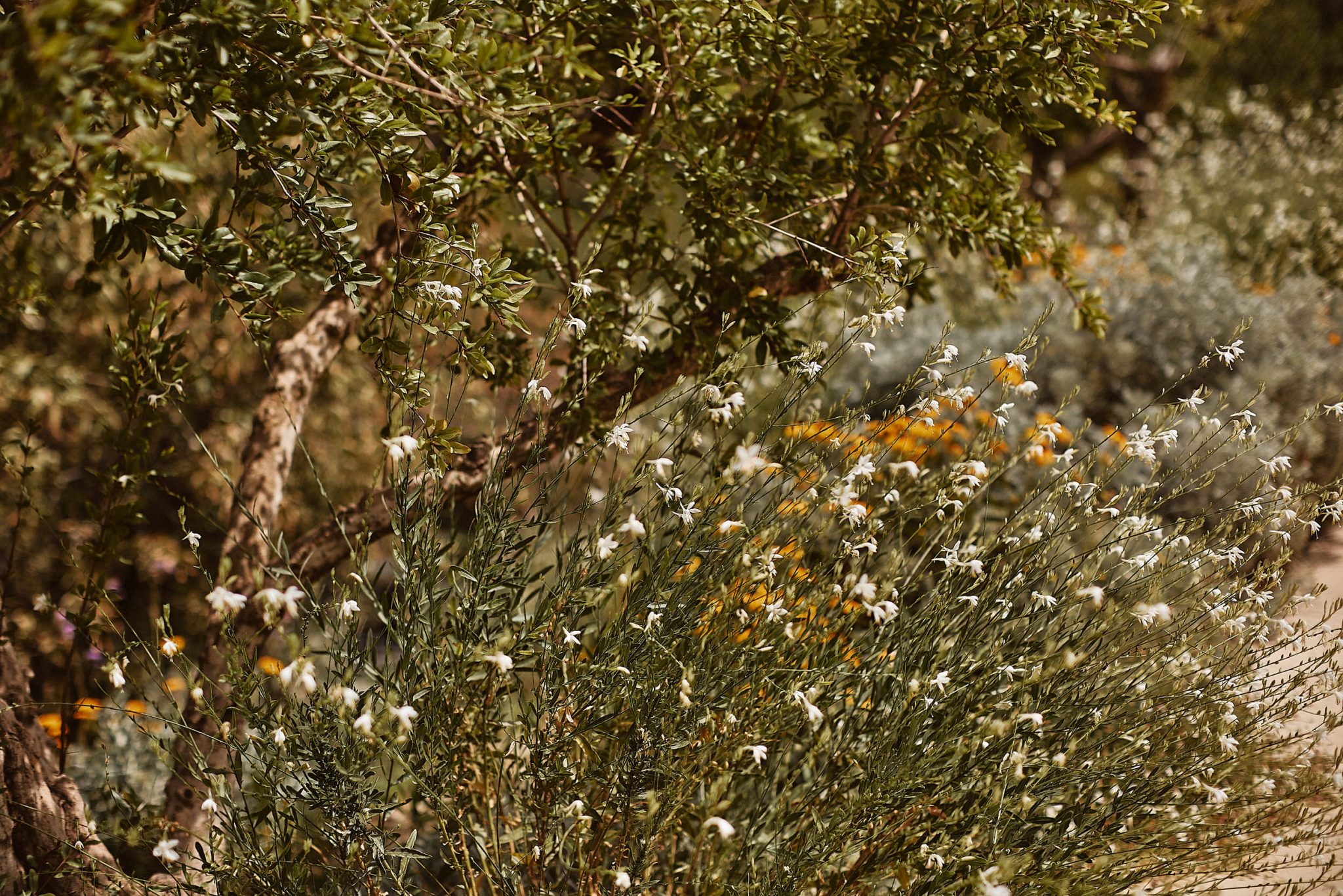 Vivood Landscape Hotel Wedding